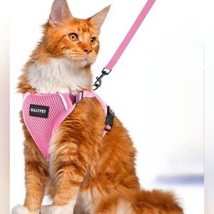 🌺 2/$20. NWT Halypet Cat Harness and Leash Set, Medium  (D5)